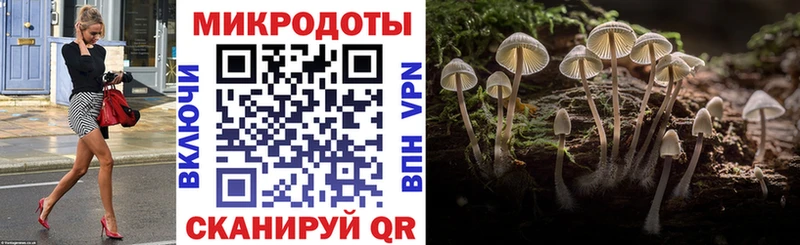 где продают   сайты даркнета состав  мега сайт  Псилоцибиновые грибы мицелий  Железногорск 